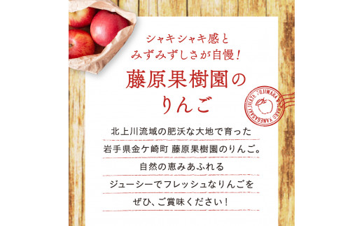 【訳あり】りんご 奥州ロマン 1.8kg 8〜9玉 小ぶり 数量限定 期間限定 高糖度 希少 リンゴ 林檎 フルーツ 果物 金ケ崎町産 岩手県