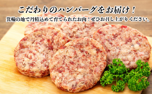 【希少な黒毛和牛】天龍牛生ハンバーグ150g×5個 ハンバーグ 天龍牛 黒毛和牛 長野県産 信州産 お肉 国産 希少　[№5675-1222] 