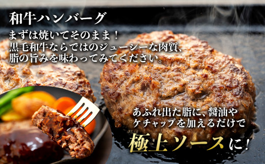 【希少な黒毛和牛】天龍牛生ハンバーグ150g×5個 ハンバーグ 天龍牛 黒毛和牛 長野県産 信州産 お肉 国産 希少　[№5675-1222] 