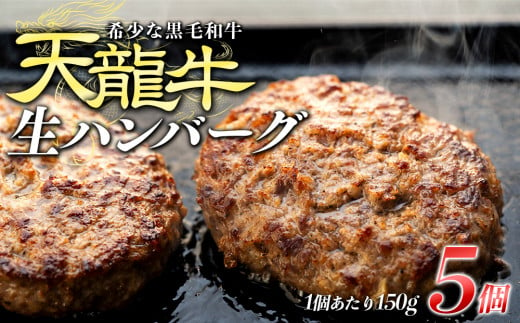 【希少な黒毛和牛】天龍牛生ハンバーグ150g×5個 ハンバーグ 天龍牛 黒毛和牛 長野県産 信州産 お肉 国産 希少　[№5675-1222] 