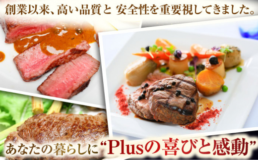 【全3回定期便】【A4～A5】長崎和牛ヒレステーキ　450g（150g×3枚）【株式会社 MEAT PLUS】 [QBS126]