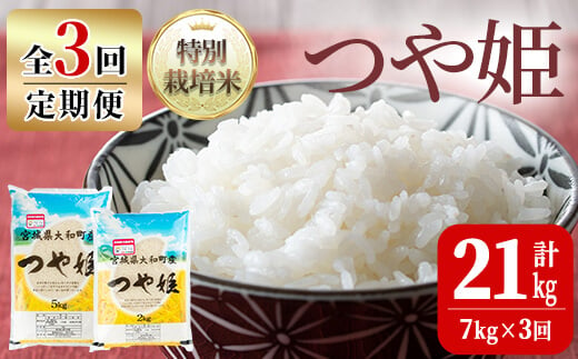 【令和6年産】＜3か月定期便＞特別栽培米 つや姫 7kg×3回(合計21kg) お米 おこめ 米 コメ 白米 ご飯 ごはん おにぎり お弁当 頒布会【農事組合法人若木の里】ta245