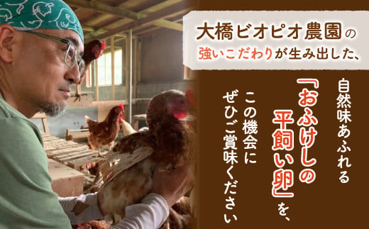 北海道 豊浦 おふけしの平飼い卵 24個 【 ふるさと納税 人気 おすすめ ランキング 穀物 国産 卵 たまご 鶏 ニワトリ 平飼い おいしい 美味しい 新鮮 北海道 豊浦町 送料無料 】 TYUZ001