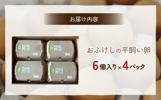 北海道 豊浦 おふけしの平飼い卵 24個 【 ふるさと納税 人気 おすすめ ランキング 穀物 国産 卵 たまご 鶏 ニワトリ 平飼い おいしい 美味しい 新鮮 北海道 豊浦町 送料無料 】 TYUZ001