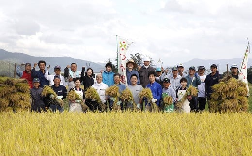 南陽産 特選 雪若丸 8kg (2kg×4袋) 『おりはた環境保全協議会』 特別栽培米 米 白米 精米 ご飯 山形県 南陽市 [935]