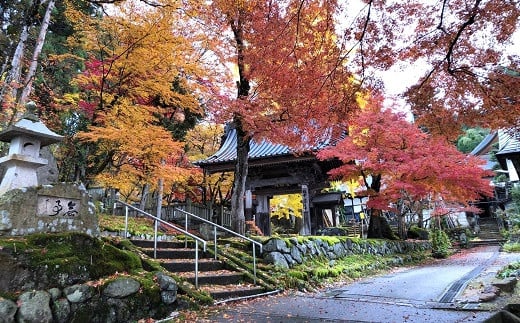 南陽産 特選 雪若丸 8kg (2kg×4袋) 『おりはた環境保全協議会』 特別栽培米 米 白米 精米 ご飯 山形県 南陽市 [935]