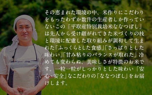 【特別栽培米】北海道で１番人気！「ニシパの恋人」ななつぼし　5㎏ ふるさと納税 人気 おすすめ ランキング ニシパの恋人 ななつぼし お米 米 ご飯 白米 おいしい 北海道 平取町 送料無料 BRTH013