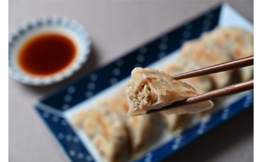 No.280 餃子セット（行田のチーズ餃子・行田の餃子）各1袋 ／ ギョウザ ぎょうざ 埼玉県