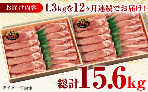 【月1回約1.3kg×12回定期便】大西海SPF豚 背ロース（しゃぶしゃぶ用）計15.6kg 長崎県/長崎県農協直販 [42ZZAA079] 肉 豚 ぶた ブタ ロース しゃぶしゃぶ 小分け 西海市 長崎 九州 定期便