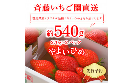 《先行予約》4月より順次発送※ いちご「 やよいひめ 」約270g×2パック 群馬県 千代田町 ＜斉藤いちご園＞