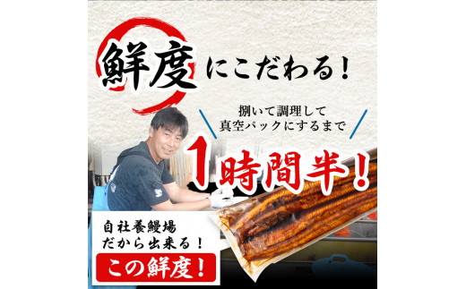 【11028】東串良町のうなぎ肝の素焼き(計500g・100g×5P)うなぎ 高級 ウナギ 鰻 国産 鹿児島 ふるさと 人気【アクアおおすみ】