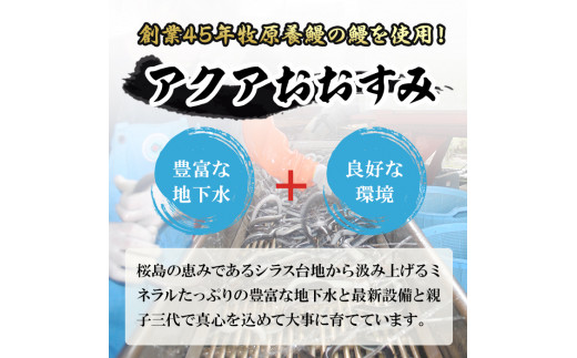 【11028】東串良町のうなぎ肝の素焼き(計500g・100g×5P)うなぎ 高級 ウナギ 鰻 国産 鹿児島 ふるさと 人気【アクアおおすみ】