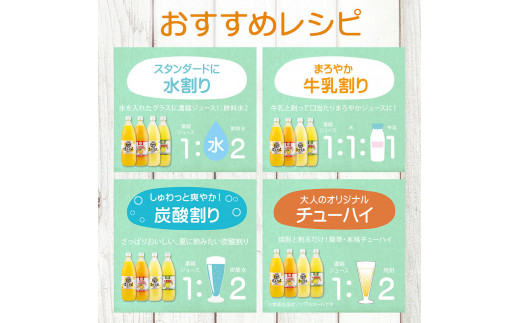 オレンジ園の濃縮ジュース 1L おまかせ6本入り 希釈用 みかんジュース チューハイ用 ドリンク ジュース 柑橘類 蜜柑 みかん【R01127】