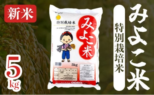 【令和6年産】みよこ米（まっしぐら）5kg（5kg×1袋）【特別栽培米 ご飯 ごはん 新米 米 こめ お米 弁当 白米 精米 国産米 銘柄米 県産米 ブランド米 おにぎり 国産 青森県 七戸町】【02402-0350】