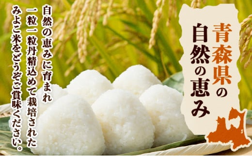 【令和6年産】みよこ米（まっしぐら）5kg（5kg×1袋）【特別栽培米 ご飯 ごはん 新米 米 こめ お米 弁当 白米 精米 国産米 銘柄米 県産米 ブランド米 おにぎり 国産 青森県 七戸町】【02402-0350】