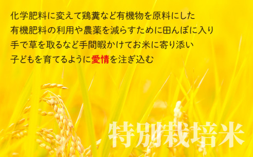 【先行予約】【令和6年産 新米】【6ヶ月定期便】こしひかり 5kg × 6回 計30kg【白米】減農薬・減化学肥料 「特別栽培米」－地球にやさしいお米－