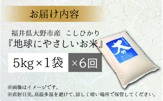 【先行予約】【令和6年産 新米】【6ヶ月定期便】こしひかり 5kg × 6回 計30kg【白米】減農薬・減化学肥料 「特別栽培米」－地球にやさしいお米－