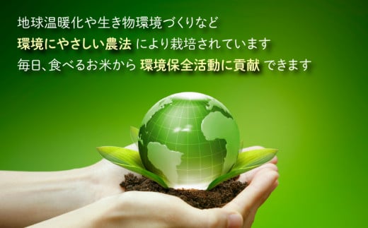 【先行予約】【令和6年産 新米】【6ヶ月定期便】こしひかり 5kg × 6回 計30kg【白米】減農薬・減化学肥料 「特別栽培米」－地球にやさしいお米－