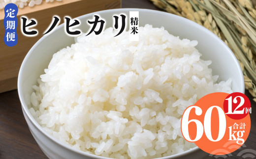 【 定期便 12回 】令和6年産 ヒノヒカリ 精米 5kg  奈良県産（ 計60kg ） | 米 こめ コメ お米 おこめ  令和6年産 令和6年 ひのひかり 奈良県 平群町 ライス 新米