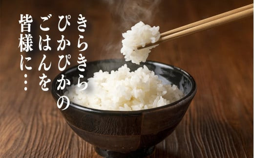 【 定期便 12回 】令和6年産 ヒノヒカリ 精米 5kg  奈良県産（ 計60kg ） | 米 こめ コメ お米 おこめ  令和6年産 令和6年 ひのひかり 奈良県 平群町 ライス 新米