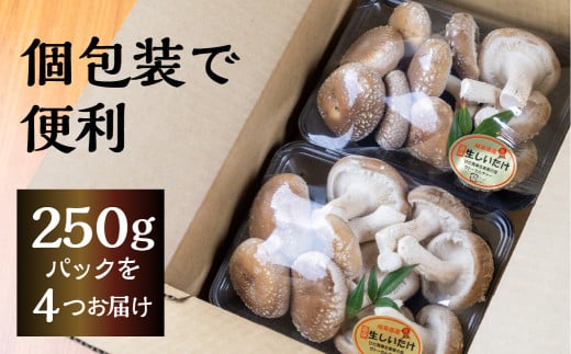 菌床しいたけ 約1kg 4パック 国産 椎茸 シイタケ 生しいたけ きのこ キノコ 鍋に すきやきに syun26