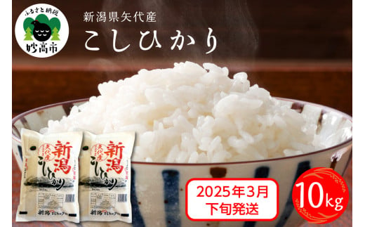 【2025年3月下旬発送】令和6年産 新潟県矢代産コシヒカリ10kg