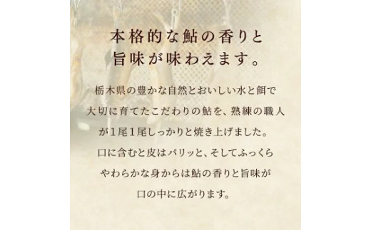 【鮎の特製炭火焼 10尾】産地直送 天然仕立て おつまみ 高級 ※沖縄・離島への配送不可