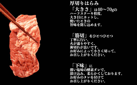 117-21　オアシス九州　牛タン&ハラミ焼肉セット700ｇ　冷凍