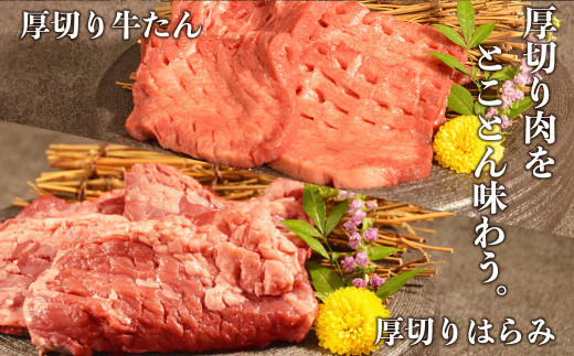 117-21　オアシス九州　牛タン&ハラミ焼肉セット700ｇ　冷凍