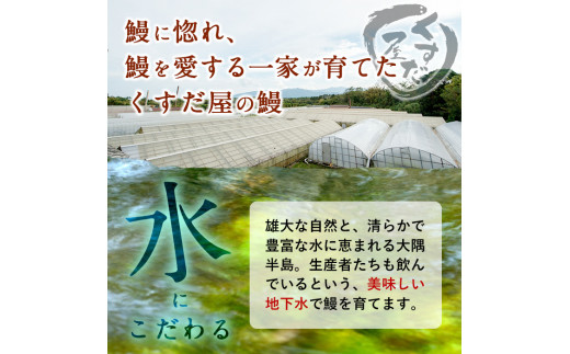 【丑の日までに配送】くすだ屋の極上うなぎ 2尾(150g×2)＜計300g以上＞ a5-266-us