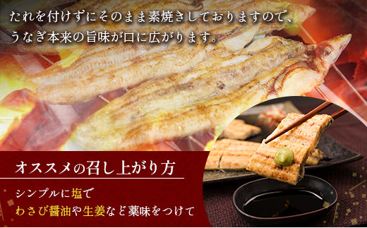 前日配送予約［土用丑の日］うなぎ白焼きギフト 2尾（110～150g/1尾あたり）宮崎県産鰻 蒲焼きタレ付（50ml×1本）【N43-B】