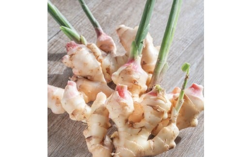 専用　新生姜1キロ、白菜、人参適量 みずみずしくて柔らかい！！穫れたて『新生姜』1kg：千葉県産の