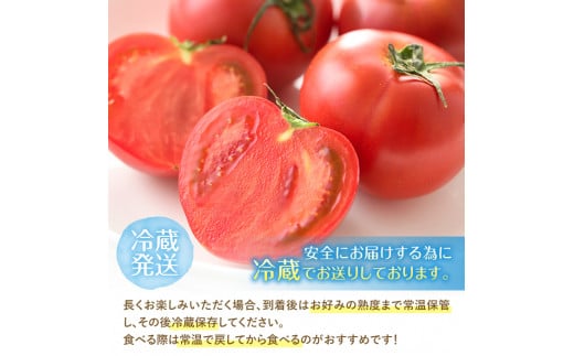 ＜先行予約受付中！2025年1月～5月の間に順次発送予定・期間限定＞ひなたのとまと(計2.2kg・1.1kg×2箱)トマト フルーツトマト 糖度 9度 以上 野菜 旬野菜 冷蔵 門川町産 宮崎県 門川町【A-3】【株式会社 新門トマト農園】