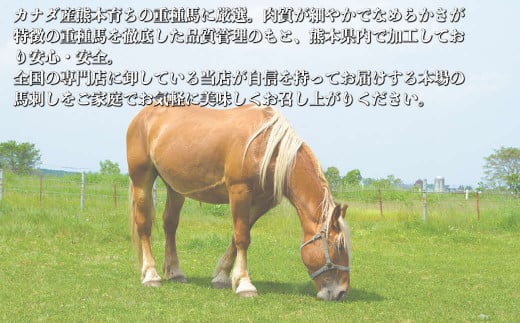 117-27　オアシス九州【熊本県内と畜】  馬刺し 赤身 200g 県内肥育 馬肉 ブロック おつまみ 冷凍