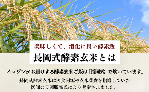 【定期便3回】酵素玄米ごはん(長岡式)  約2.4kg×3回  | 玄米 げんまい ゲンマ イ 酵素玄米  美容 健康 酵素 パウチ 冷凍 ヘルシー 米 奈良県 平群町 3日間寝かせた