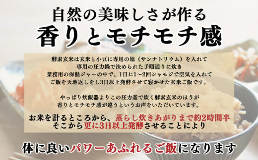 【定期便3回】酵素玄米ごはん(長岡式)  約2.4kg×3回  | 玄米 げんまい ゲンマ イ 酵素玄米  美容 健康 酵素 パウチ 冷凍 ヘルシー 米 奈良県 平群町 3日間寝かせた