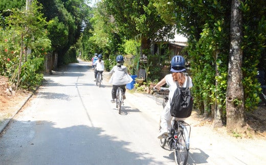 【Eバイクガイドツアー】運転ラクラク♪今帰仁の秘密の絶景や沖縄の原風景を探しに行こう！！