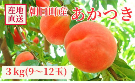 農家直送 山形県 朝日町産 白桃 あかつき 3kg 9～12個 秀品 山形産 もも モモ 桃 ピーチ 果物 先行予約 フルーツ 夏【8月中旬発送】