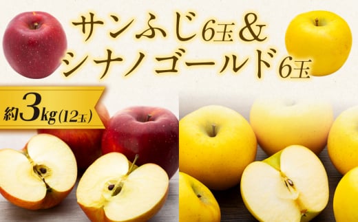 【贈答用】りんご 長野 サンふじ6玉&シナノゴールド6玉　 約3kg （12玉）　[№5675-1437]