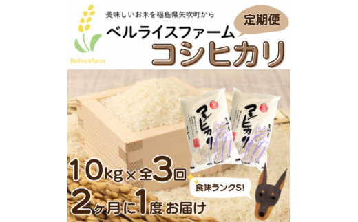 ＜2ヵ月毎定期便＞＜農家直送 ベルライスファームコシヒカリ精米10kg＞1.9ミリ食味ランクS全3回【4055210】