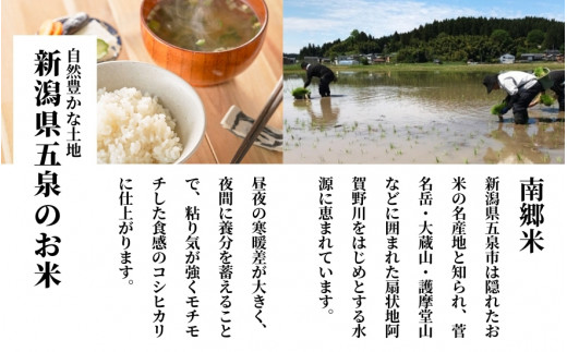 【令和6年産新米】 〈6回定期便〉 特別栽培米コシヒカリ100％ 「南郷米」 精米 6kg（2kg×3袋）新潟県 五泉市 有限会社ファームみなみの郷