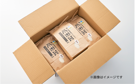 【令和6年産新米】 〈6回定期便〉 特別栽培米コシヒカリ100％ 「南郷米」 精米 6kg（2kg×3袋）新潟県 五泉市 有限会社ファームみなみの郷