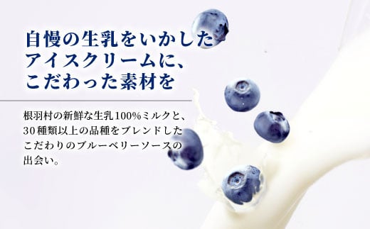 新しくなって新登場★！生ソフトクリーム＆いなぶのブルーベリーアイス (80ml)×8個セット 5000円