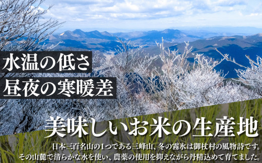 【 定期便 6回 】霧氷米 コシヒカリ 10kg (真空包装でお届け) | 米 こめ コメ お米 おこめ 白米 こしひかり 奈良県 御杖村