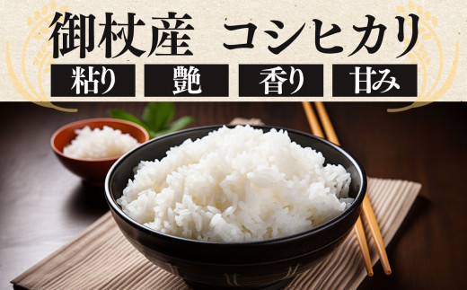 【 定期便 6回 】霧氷米 コシヒカリ 10kg (真空包装でお届け) | 米 こめ コメ お米 おこめ 白米 こしひかり 奈良県 御杖村