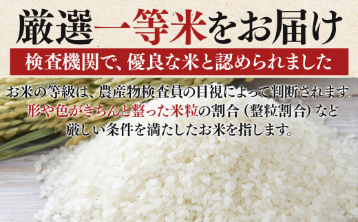 【 定期便 6回 】霧氷米 コシヒカリ 10kg (真空包装でお届け) | 米 こめ コメ お米 おこめ 白米 こしひかり 奈良県 御杖村