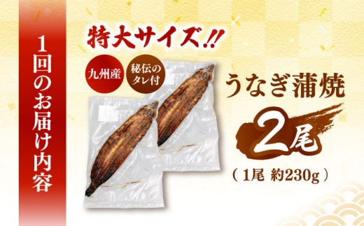 全3回定期便 特大！ 鹿児島産うなぎ 蒲焼2尾セット