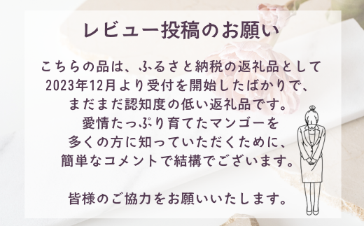 ≪2025年発送≫ 護佐丸マンゴー　4～5個入り（約2kg）