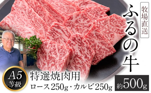 ふるの牛（黒毛和牛）特選焼肉用 500g (ロース250g、カルビ250g) A5 ミシュラン掲載《30日以内に出荷予定(土日祝除く)》