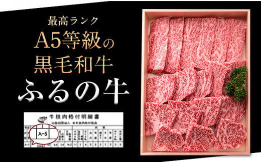 ふるの牛（黒毛和牛）特選焼肉用 500g (ロース250g、カルビ250g) A5 ミシュラン掲載《30日以内に出荷予定(土日祝除く)》